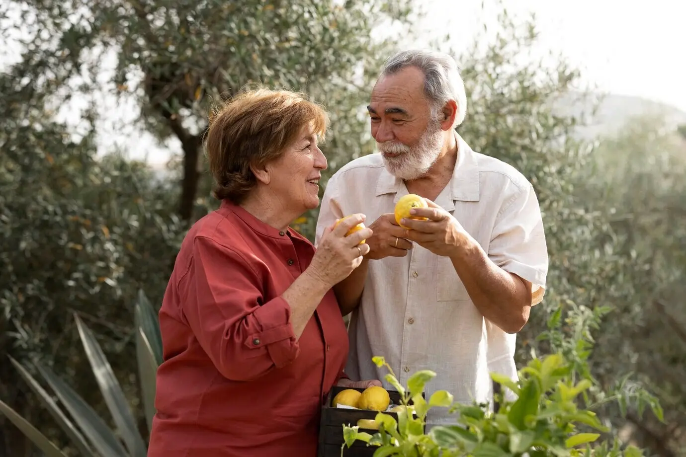 An elderly couple picking vegetables from their home garden in the countryside.